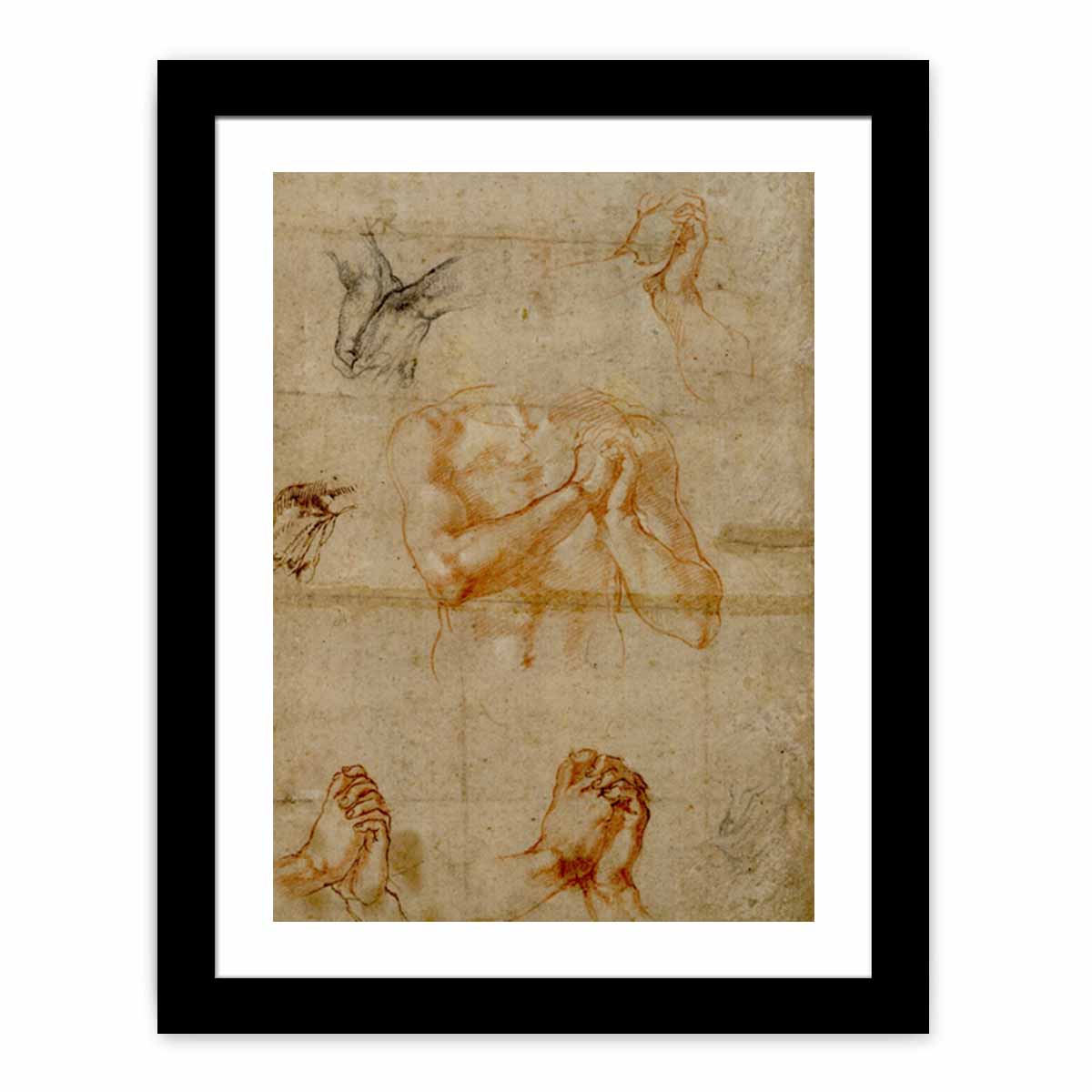 Male Upper Body with Folded Hands (verso) By Michelangelo Buonarroti