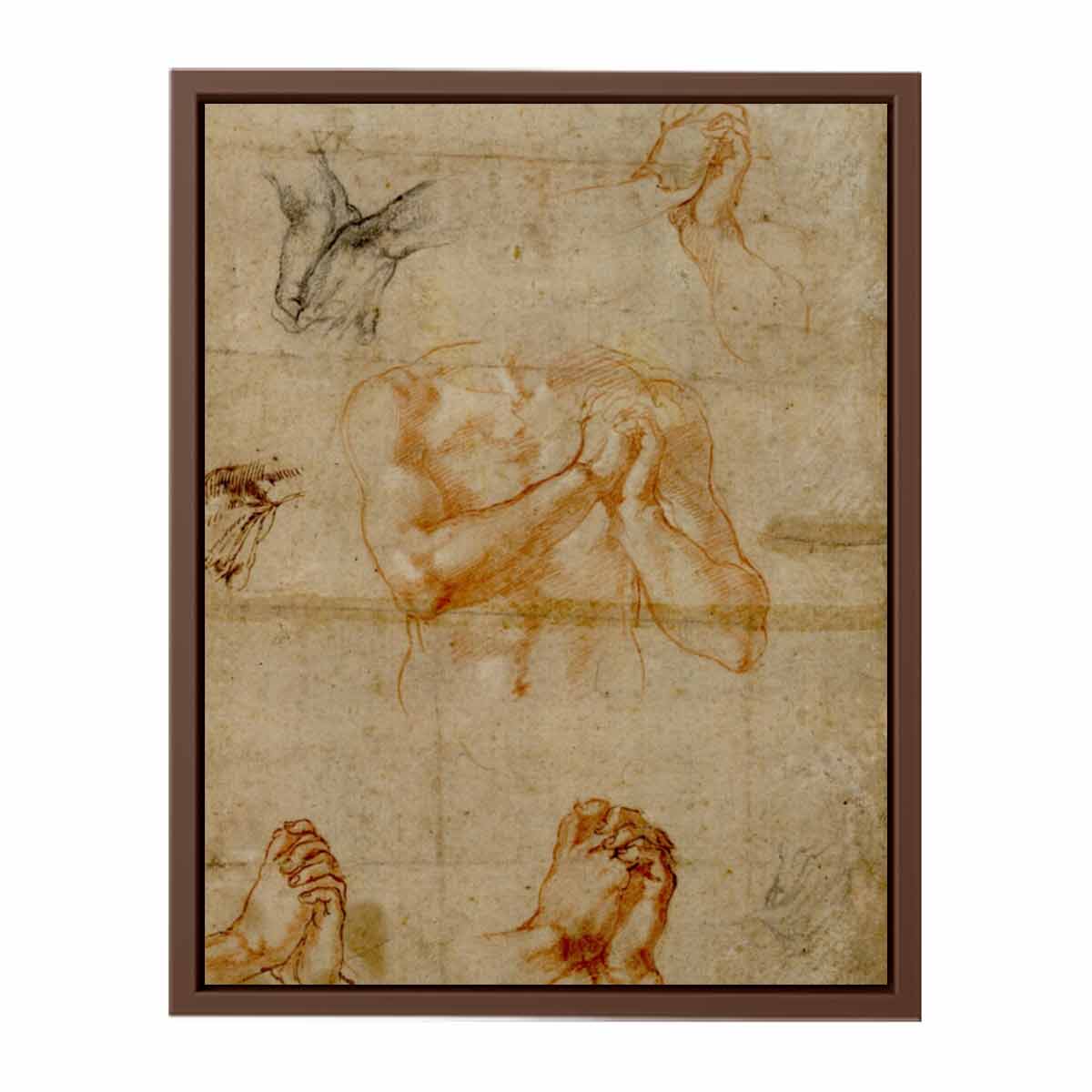 Male Upper Body with Folded Hands (verso) By Michelangelo Buonarroti