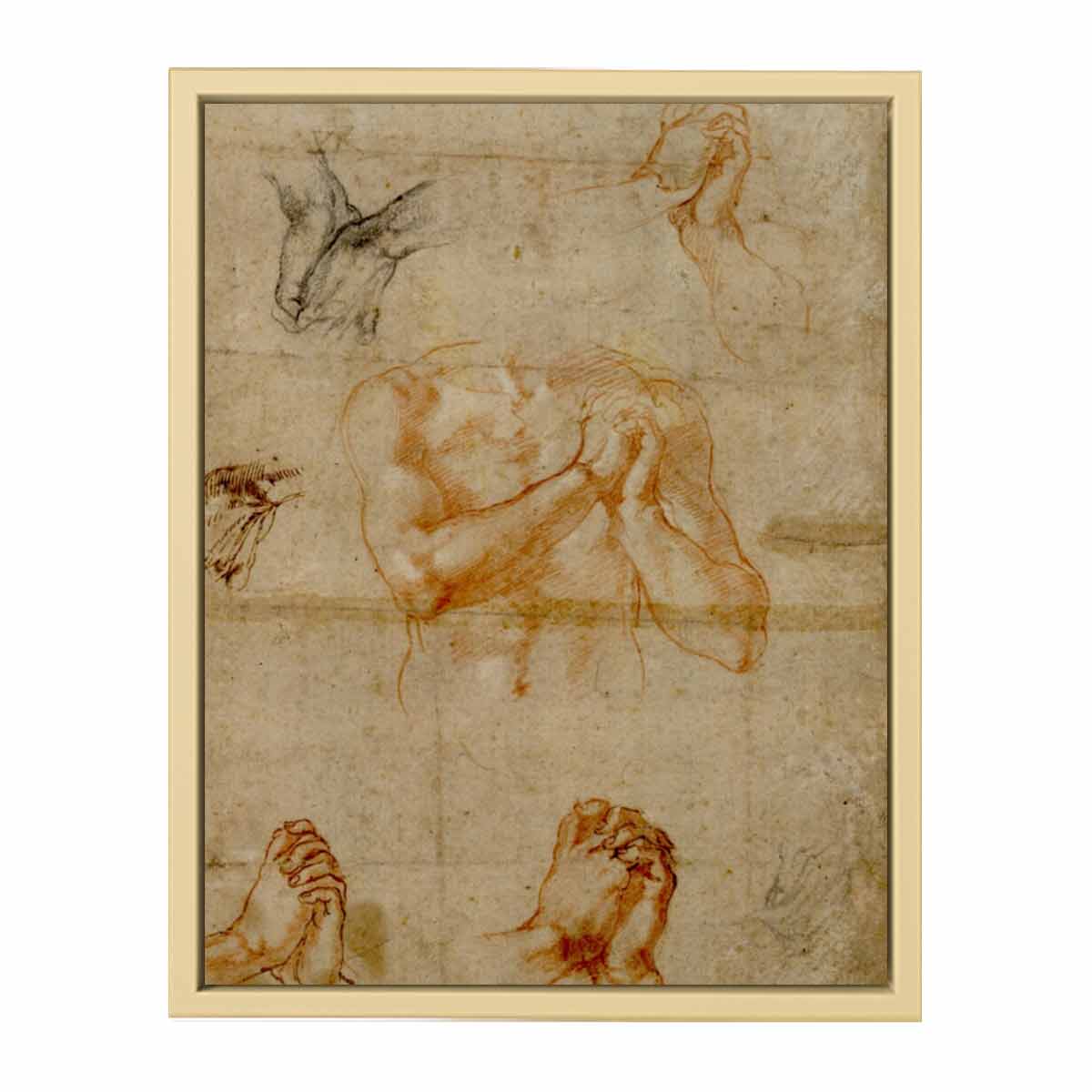 Male Upper Body with Folded Hands (verso) By Michelangelo Buonarroti