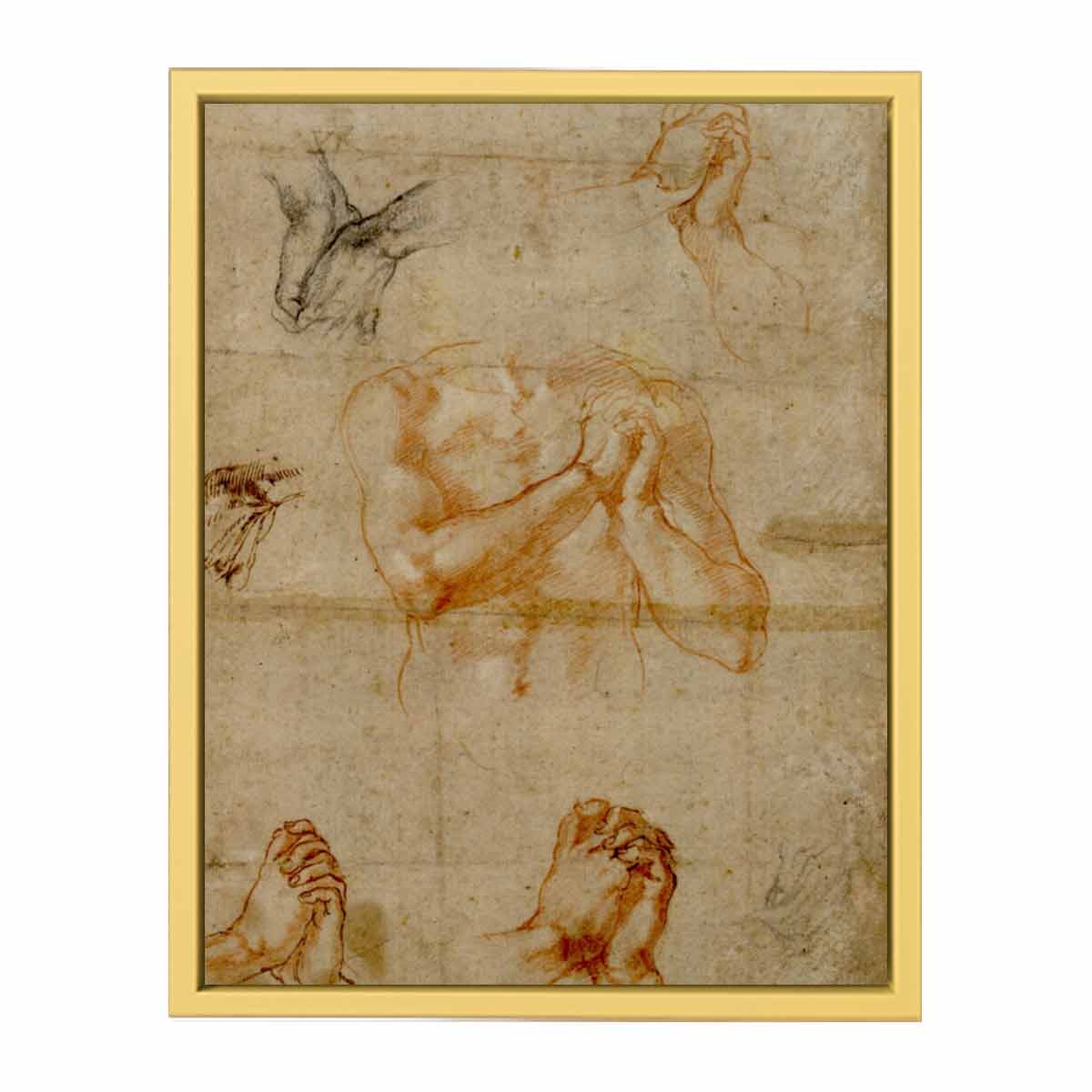 Male Upper Body with Folded Hands (verso) By Michelangelo Buonarroti