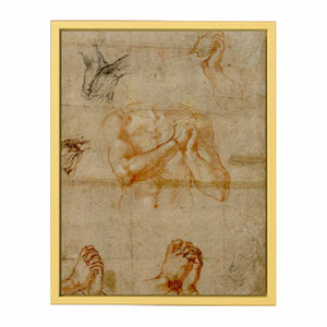 Male Upper Body with Folded Hands (verso) By Michelangelo Buonarroti