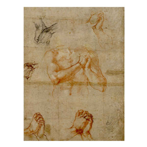 Male Upper Body with Folded Hands (verso) By Michelangelo Buonarroti