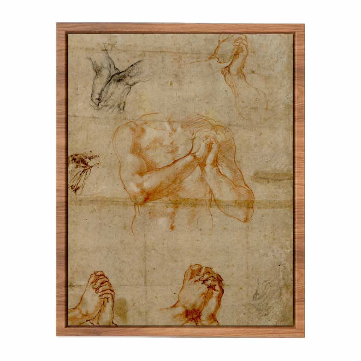Male Upper Body with Folded Hands (verso) By Michelangelo Buonarroti