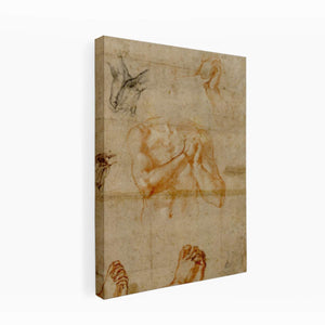 Male Upper Body with Folded Hands (verso) By Michelangelo Buonarroti