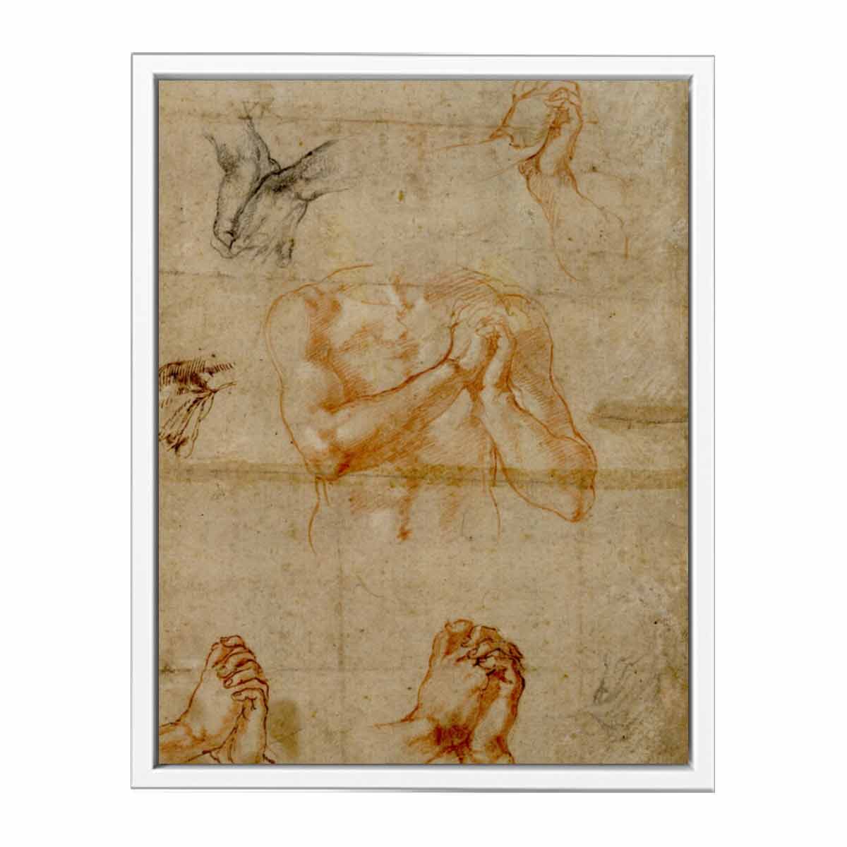 Male Upper Body with Folded Hands (verso) By Michelangelo Buonarroti