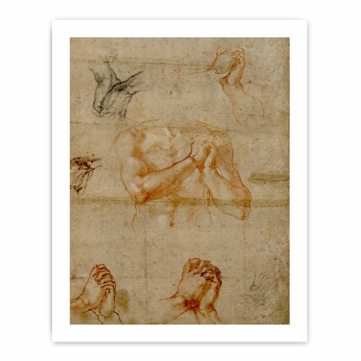 Male Upper Body with Folded Hands (verso) By Michelangelo Buonarroti