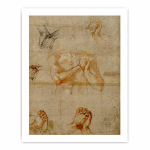 Male Upper Body with Folded Hands (verso) By Michelangelo Buonarroti