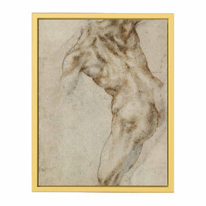 Male Nude, Seen from the Rear (recto)