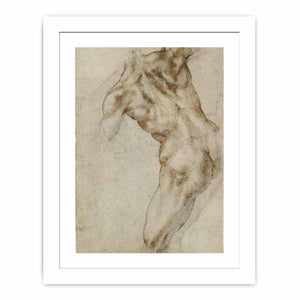 Male Nude, Seen from the Rear (recto) By Michelangelo Buonarroti