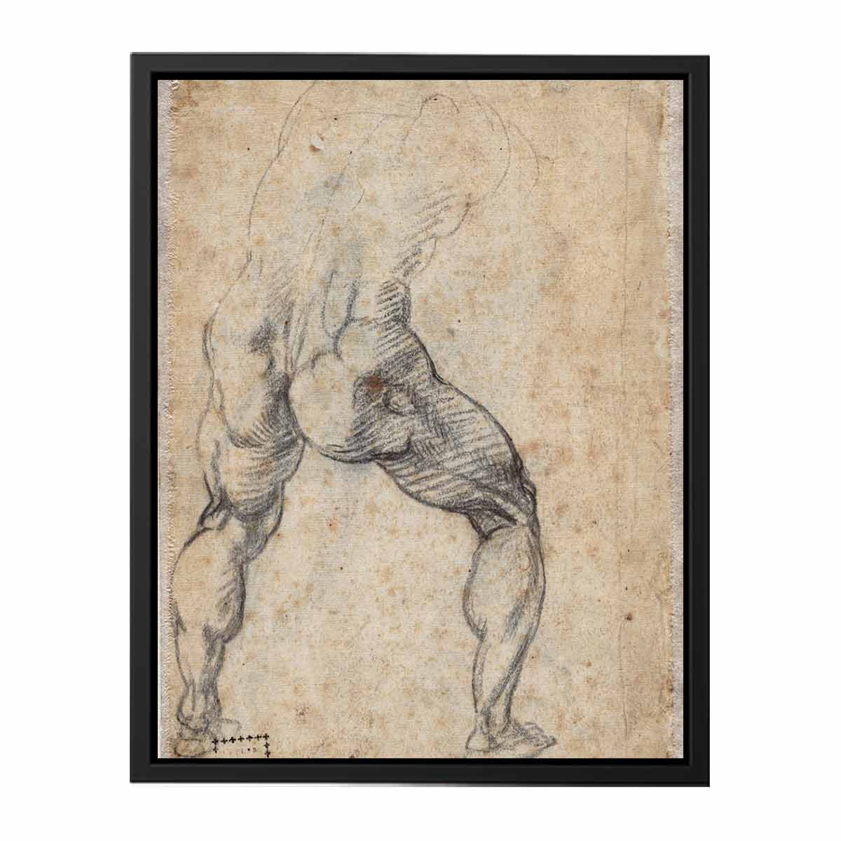 Male Nude, Seen from the Rear (verso) By Michelangelo Buonarroti