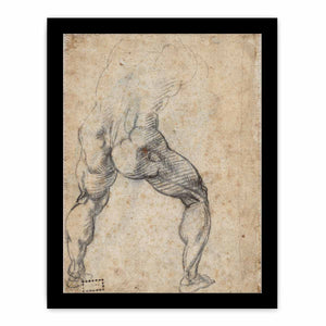 Male Nude, Seen from the Rear (verso) By Michelangelo Buonarroti
