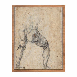 Male Nude, Seen from the Rear (verso) By Michelangelo Buonarroti