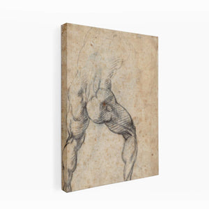 Male Nude, Seen from the Rear (verso) By Michelangelo Buonarroti