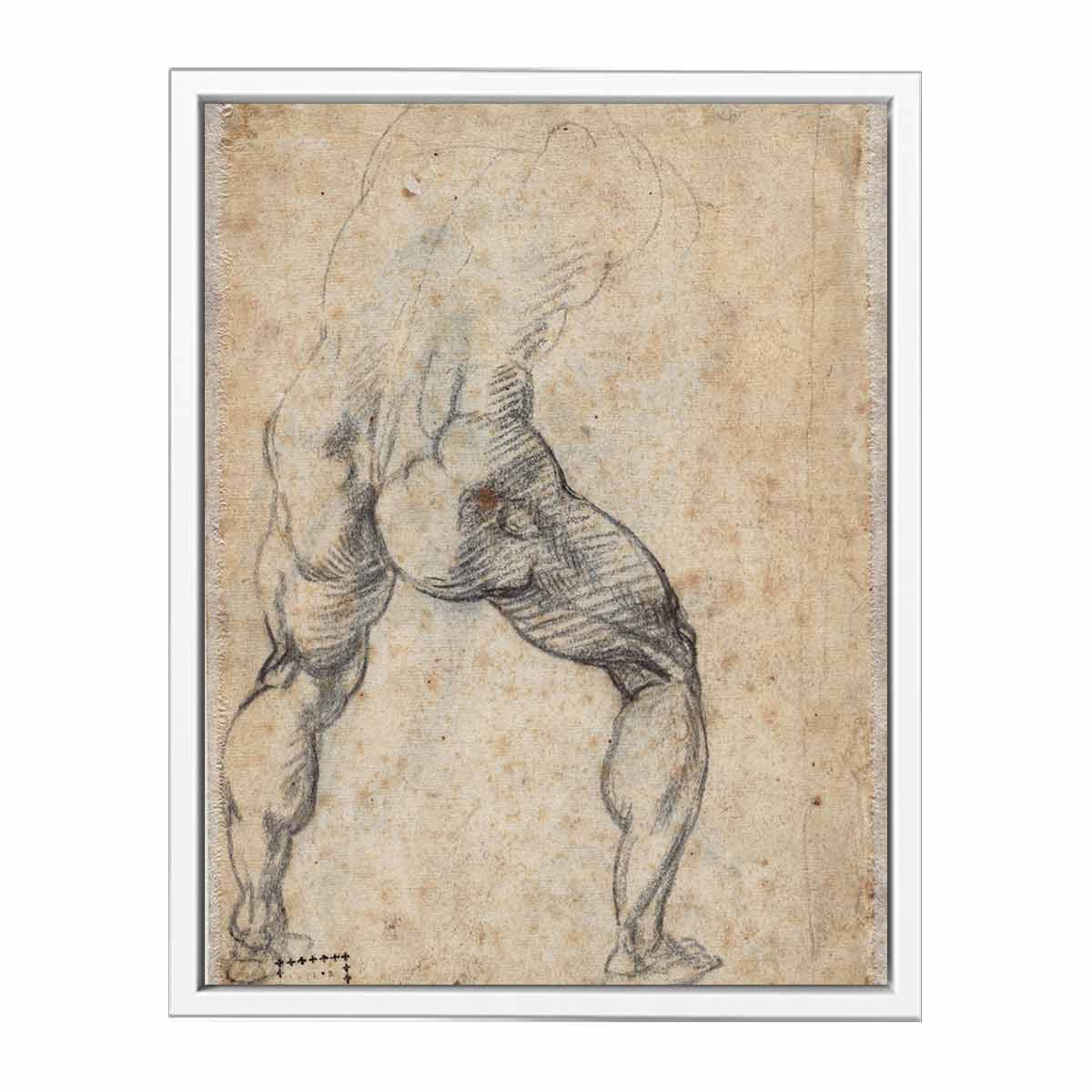 Male Nude, Seen from the Rear (verso) By Michelangelo Buonarroti