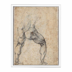 Male Nude, Seen from the Rear (verso) By Michelangelo Buonarroti