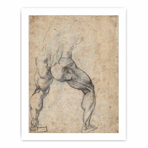 Male Nude, Seen from the Rear (verso) By Michelangelo Buonarroti