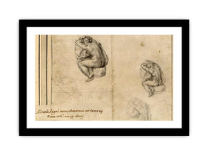 Sitting Nude Figures By Michelangelo Buonarroti