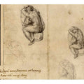 Sitting Nude Figures