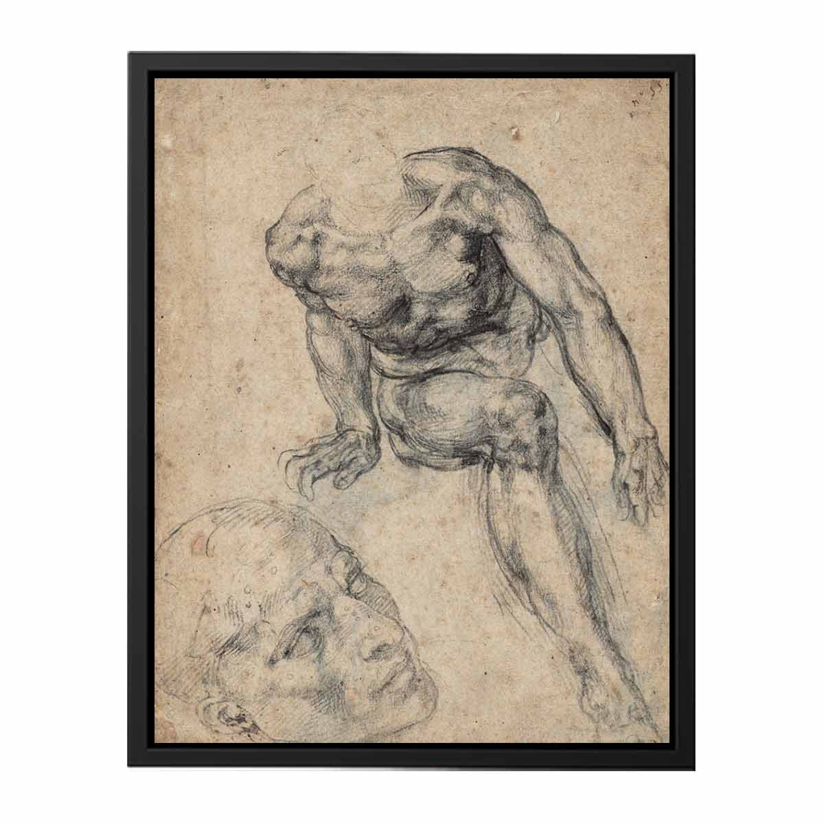 Study of a Male Nude (recto) By Michelangelo Buonarroti