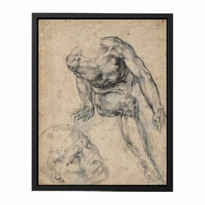 Study of a Male Nude (recto) By Michelangelo Buonarroti