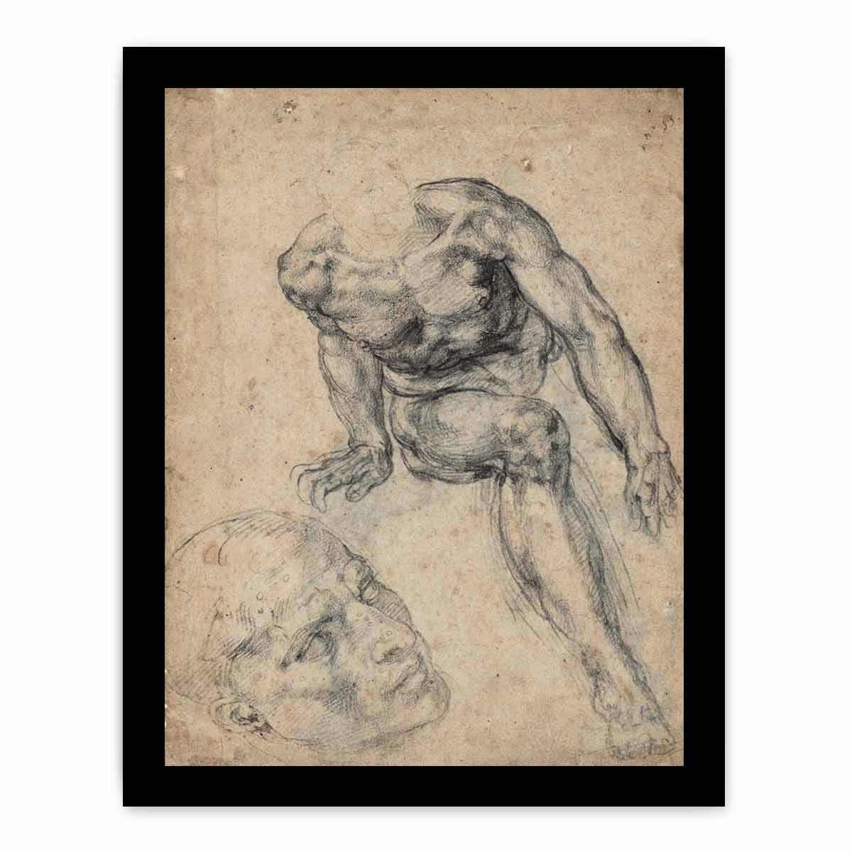 Study of a Male Nude (recto) By Michelangelo Buonarroti