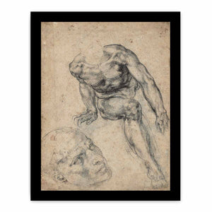 Study of a Male Nude (recto) By Michelangelo Buonarroti