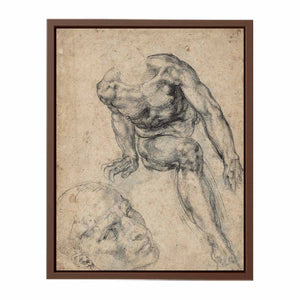 Study of a Male Nude (recto) By Michelangelo Buonarroti