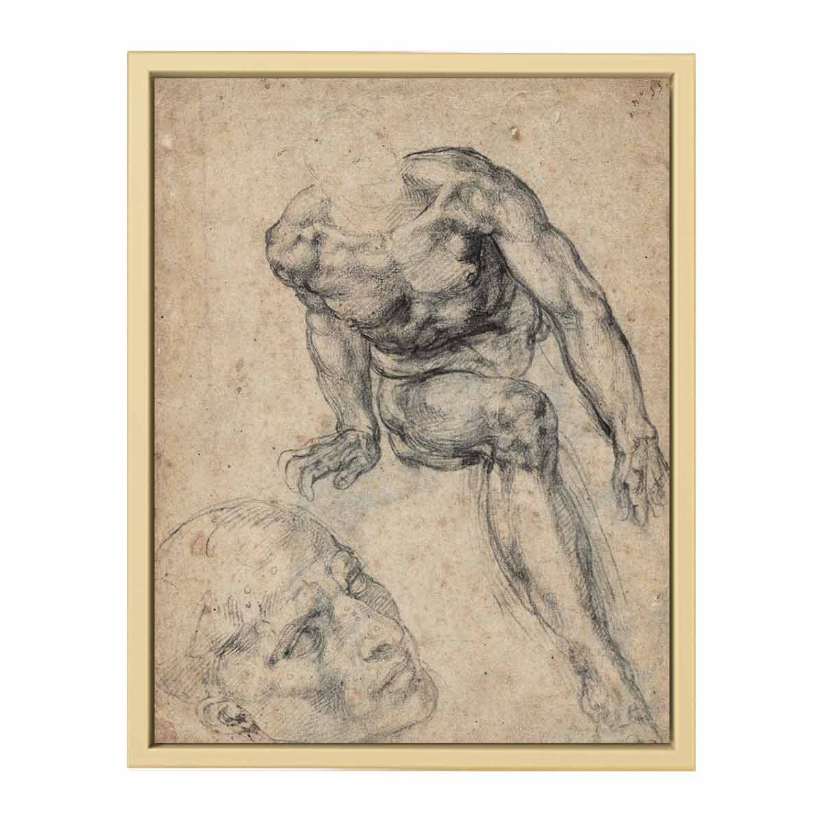 Study of a Male Nude (recto) By Michelangelo Buonarroti