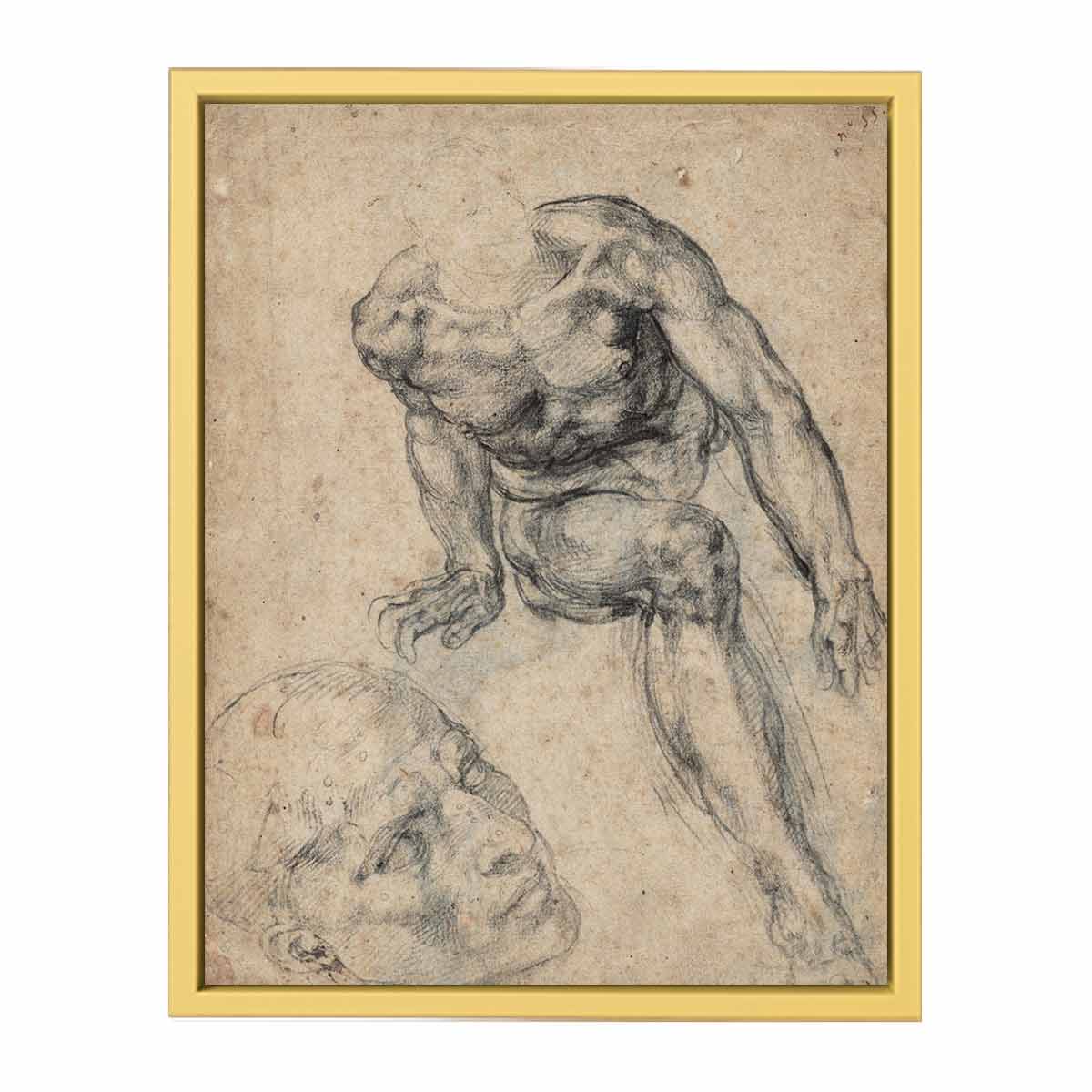 Study of a Male Nude (recto) By Michelangelo Buonarroti