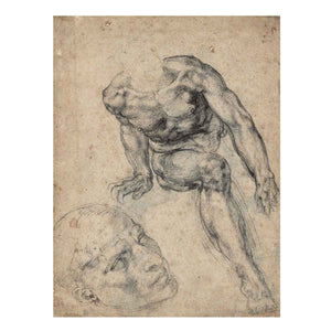Study of a Male Nude (recto) By Michelangelo Buonarroti