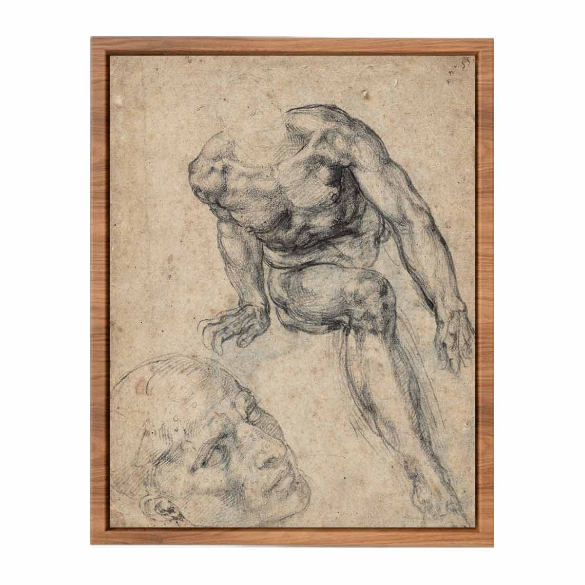Study of a Male Nude (recto) By Michelangelo Buonarroti