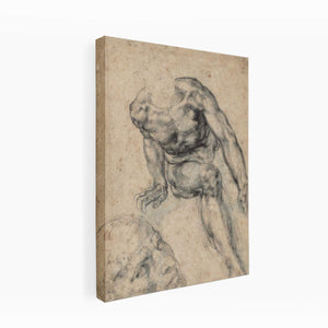 Study of a Male Nude (recto)