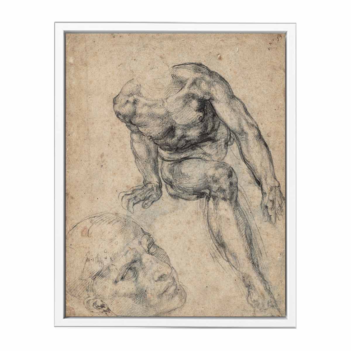 Study of a Male Nude (recto) By Michelangelo Buonarroti