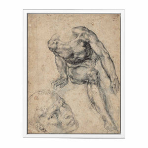Study of a Male Nude (recto) By Michelangelo Buonarroti