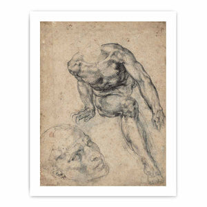 Study of a Male Nude (recto) By Michelangelo Buonarroti