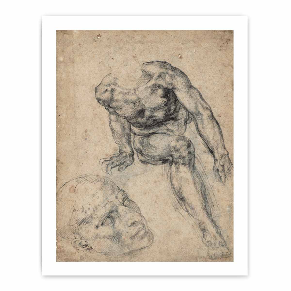 Study of a Male Nude (recto)