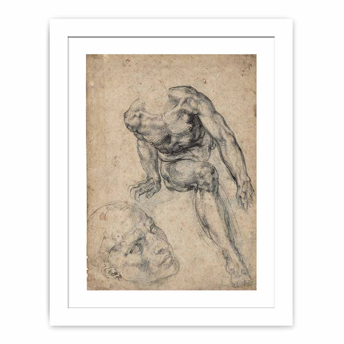 Study of a Male Nude (recto) By Michelangelo Buonarroti