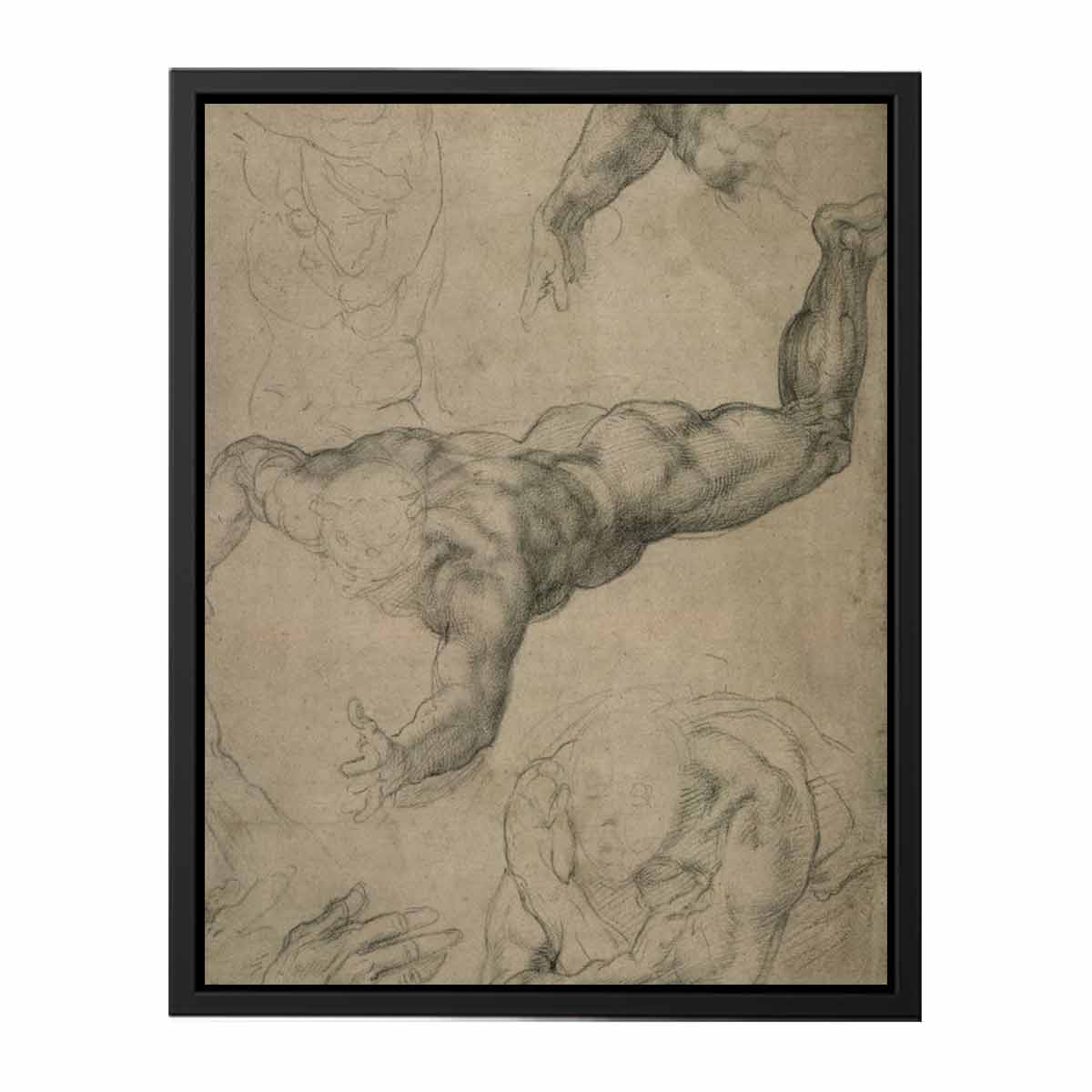 Studies for a Flying Angel (recto) By Michelangelo Buonarroti