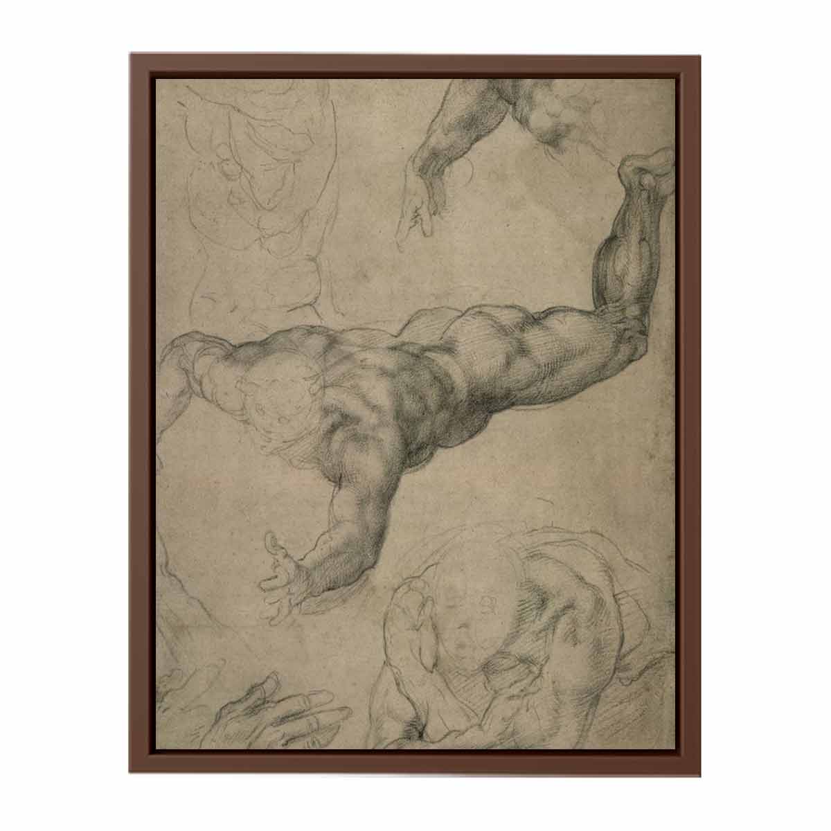 Studies for a Flying Angel (recto) By Michelangelo Buonarroti
