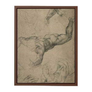 Studies for a Flying Angel (recto) By Michelangelo Buonarroti