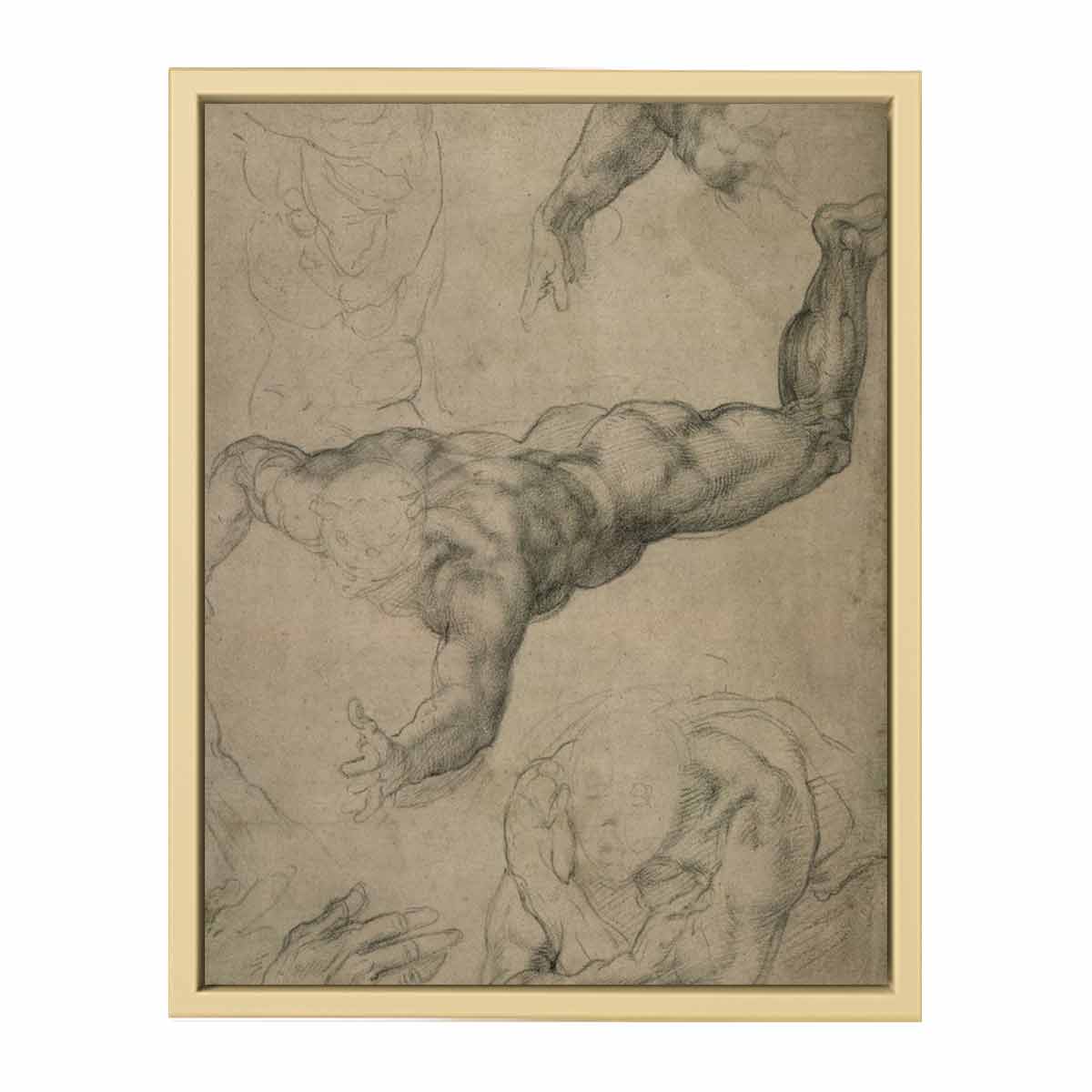 Studies for a Flying Angel (recto) By Michelangelo Buonarroti