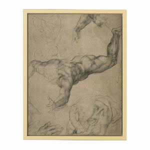 Studies for a Flying Angel (recto) By Michelangelo Buonarroti