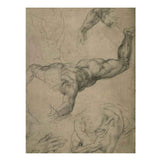 Studies for a Flying Angel (recto) By Michelangelo Buonarroti artwork preview