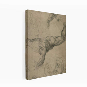 Studies for a Flying Angel (recto) By Michelangelo Buonarroti