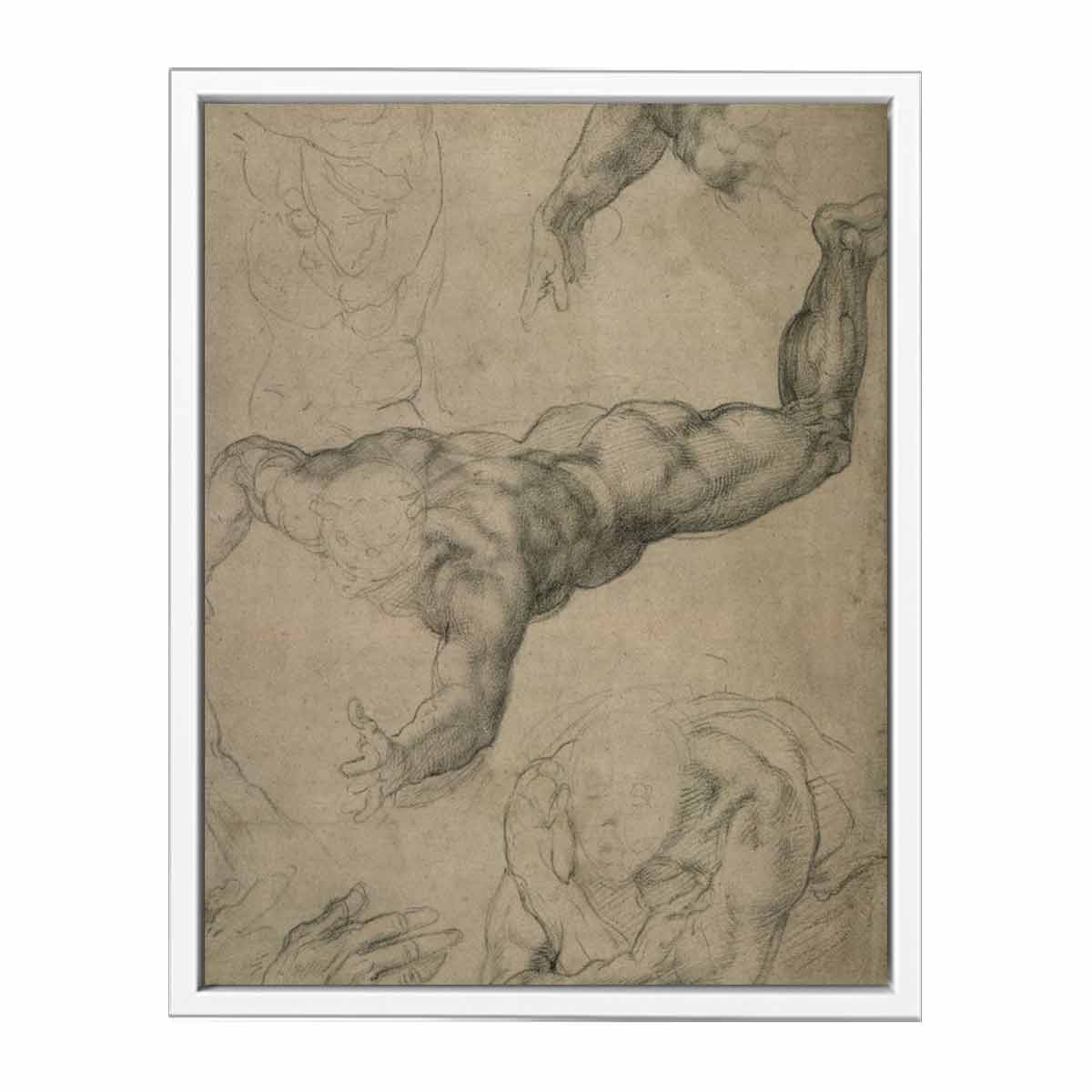 Studies for a Flying Angel (recto) By Michelangelo Buonarroti