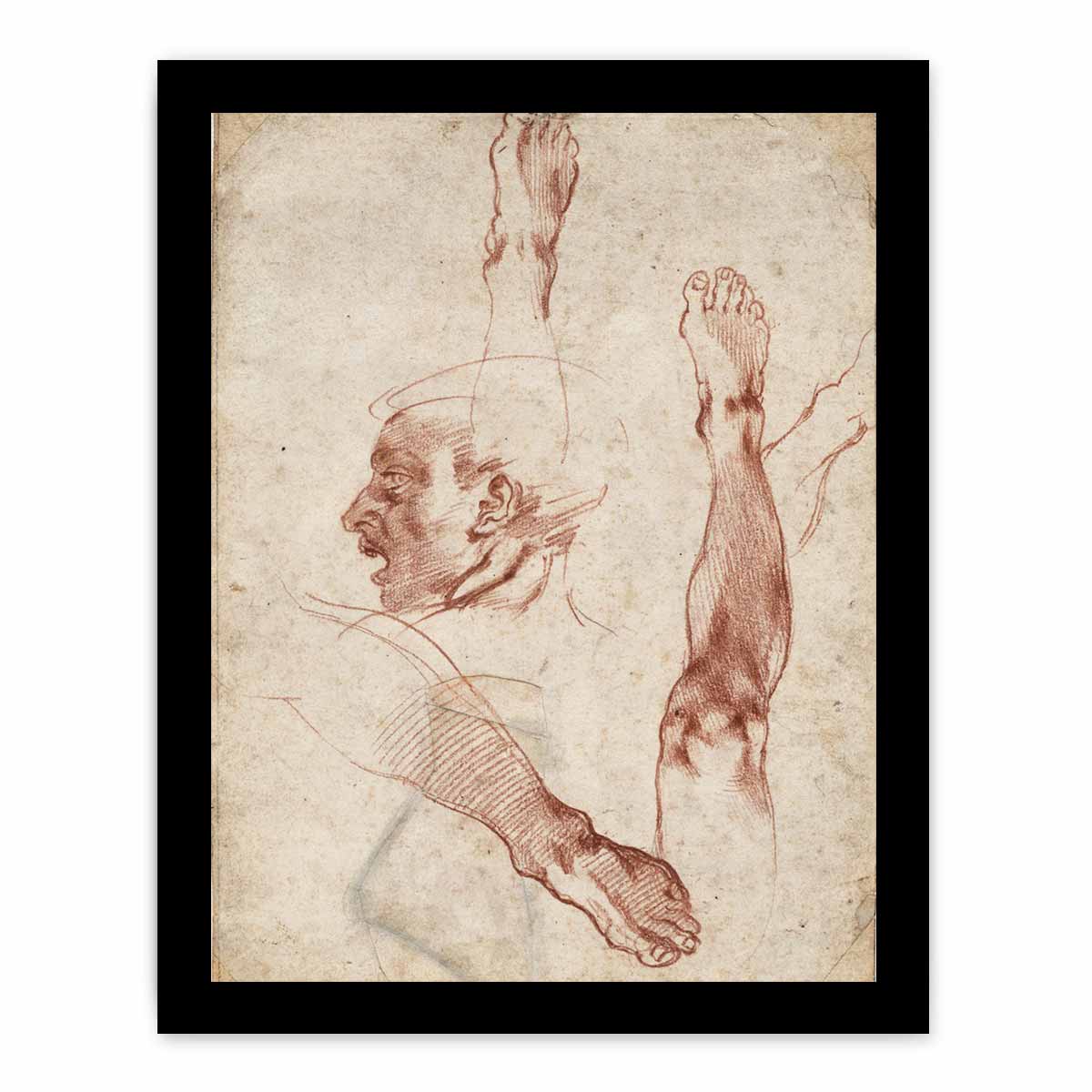 Male Head in Profile and Leg Studies (recto) By Michelangelo Buonarroti