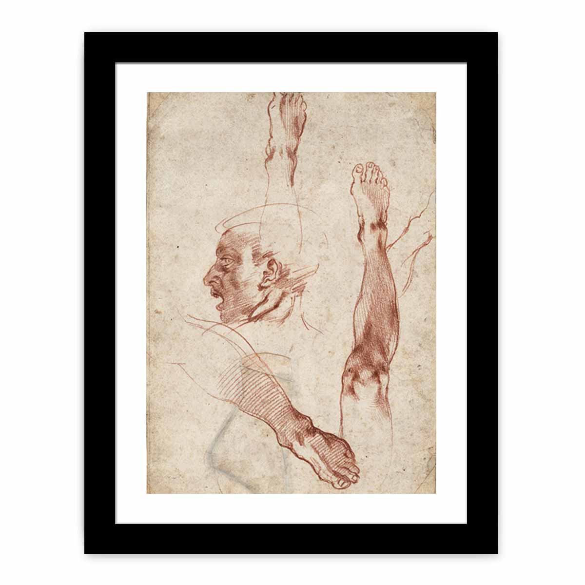 Male Head in Profile and Leg Studies (recto) By Michelangelo Buonarroti