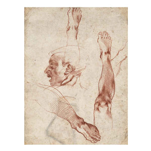 Male Head in Profile and Leg Studies (recto)