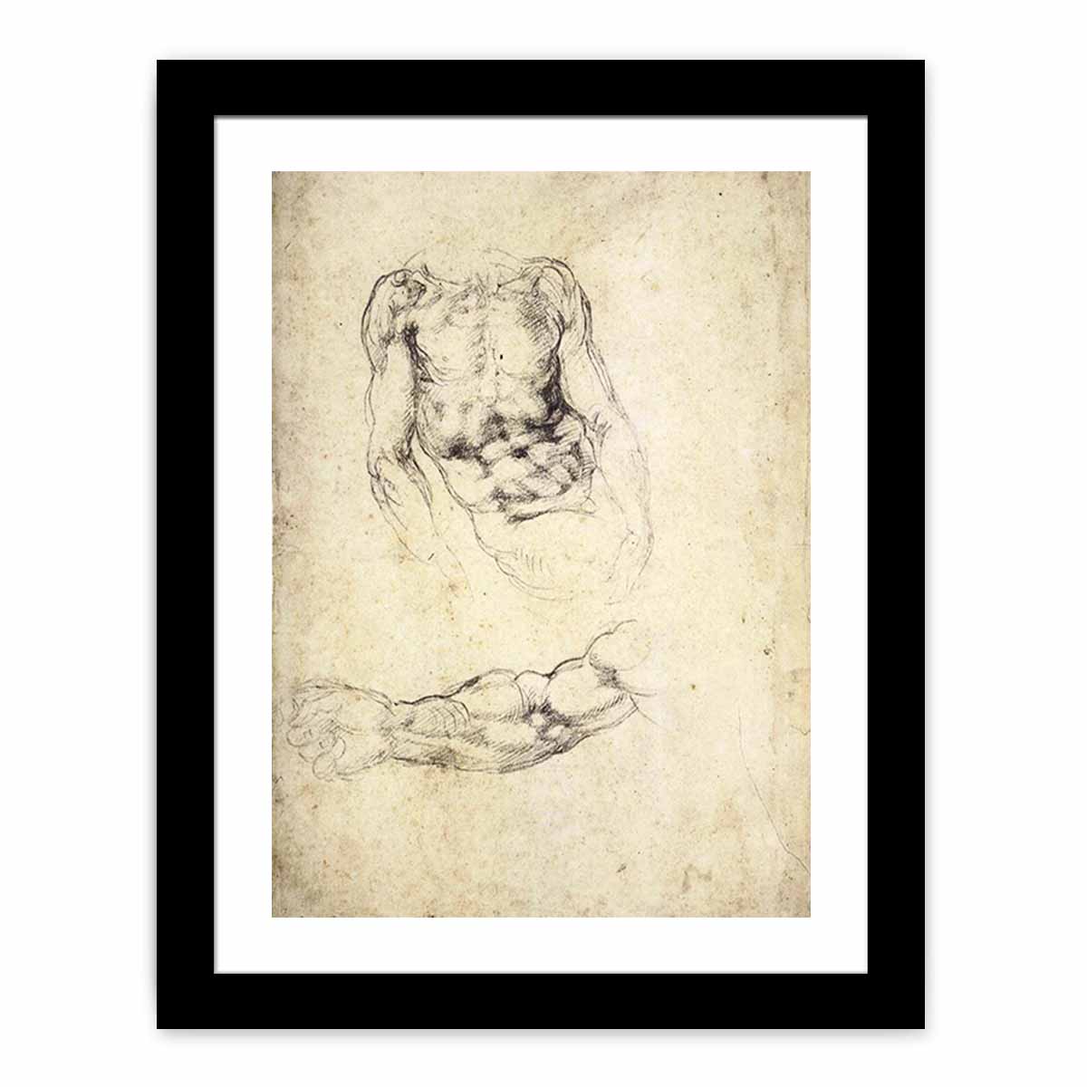 Upper Body of a Sitting Man and Study of a Right Arm (recto) By Michelangelo Buonarroti