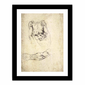 Upper Body of a Sitting Man and Study of a Right Arm (recto)
